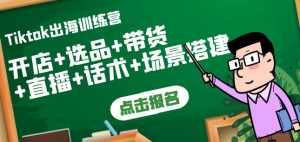Tiktok开店运营赚钱课：开店+选品+带货+直播+话术+场景搭建！-欢迎访问本站